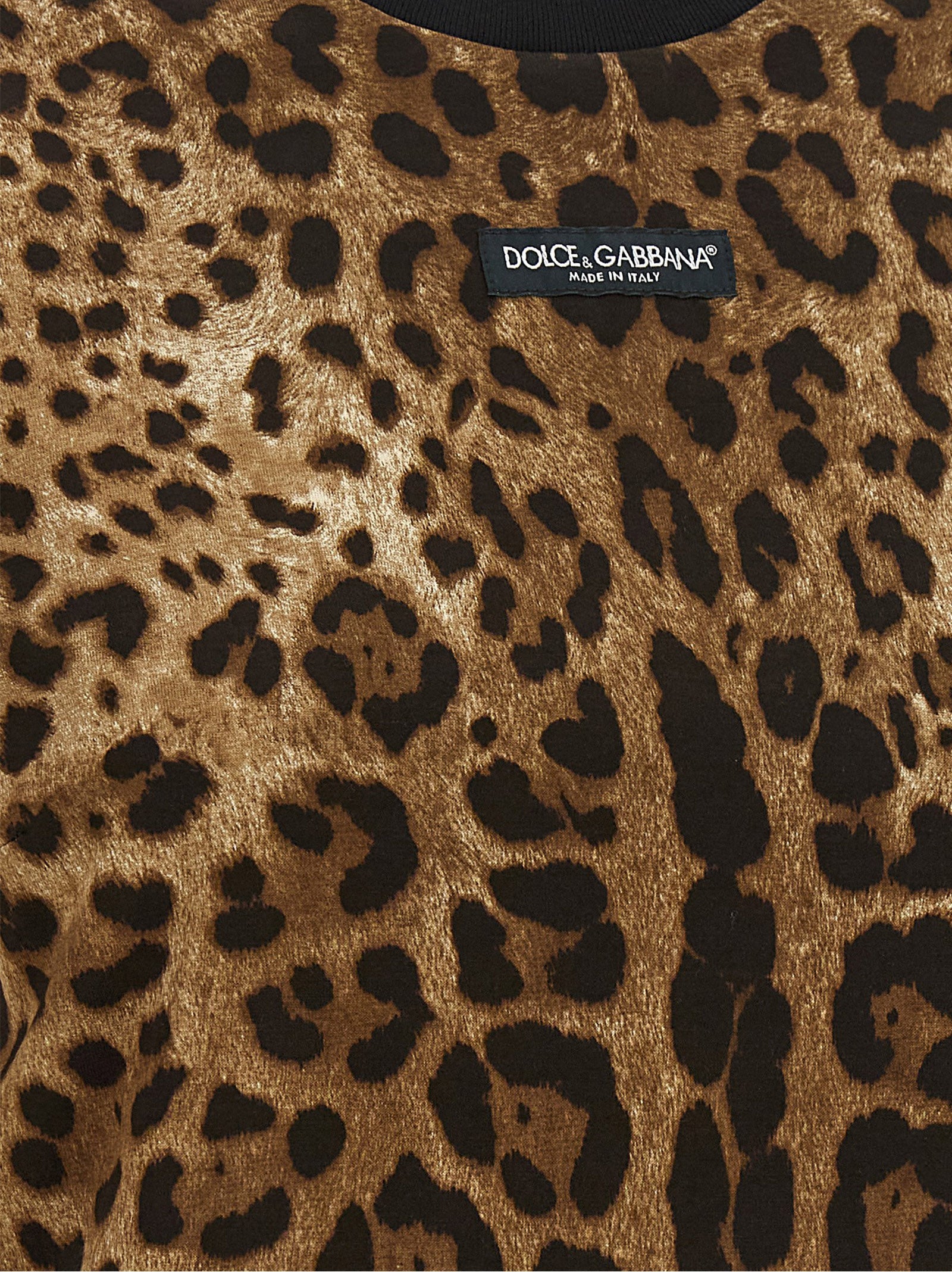 Dolce & Gabbana 'Leo' Cropped T-Shirt
