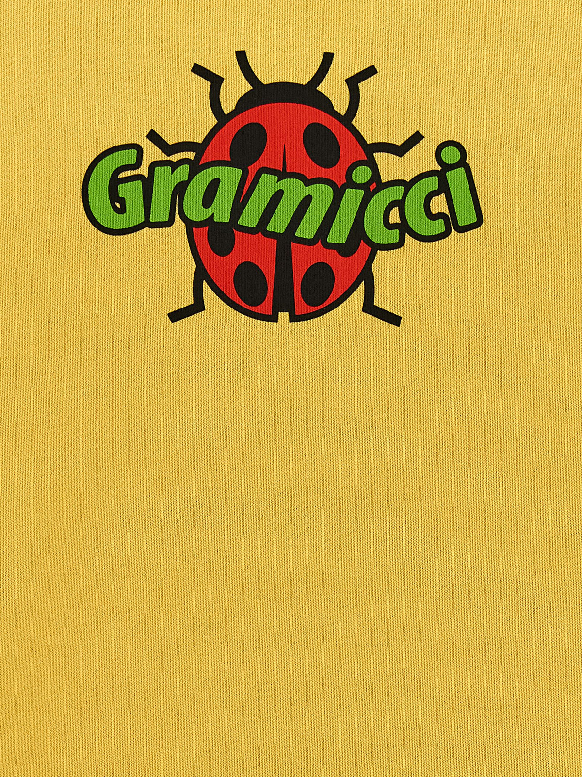 Gramicci 'Ladybug' Hoodie