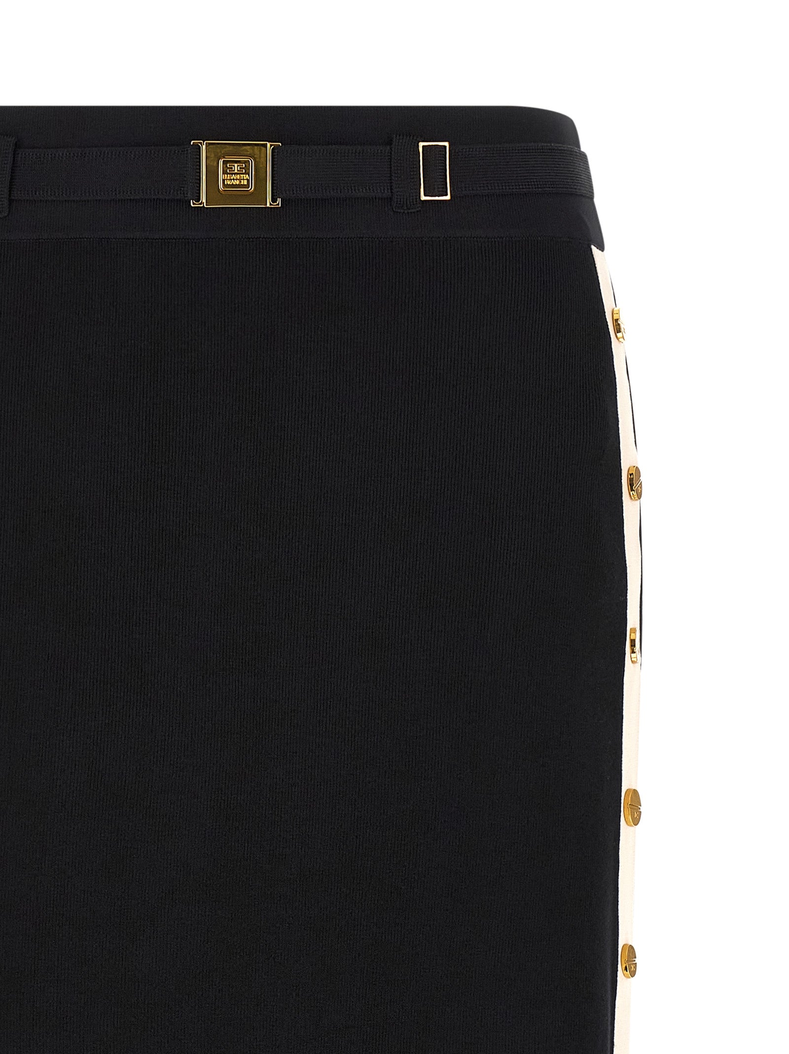 Elisabetta Franchi Side Band Skirt