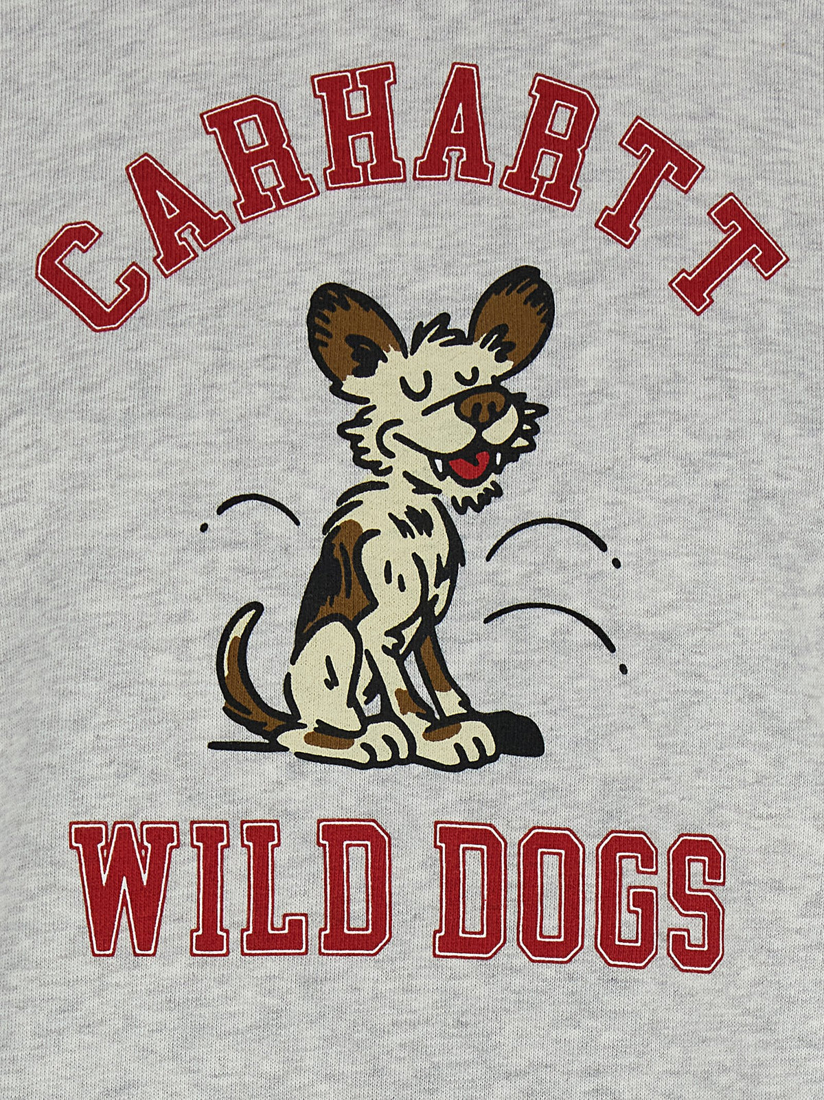 Carhartt Wip 'Wild Dog' Hoodie