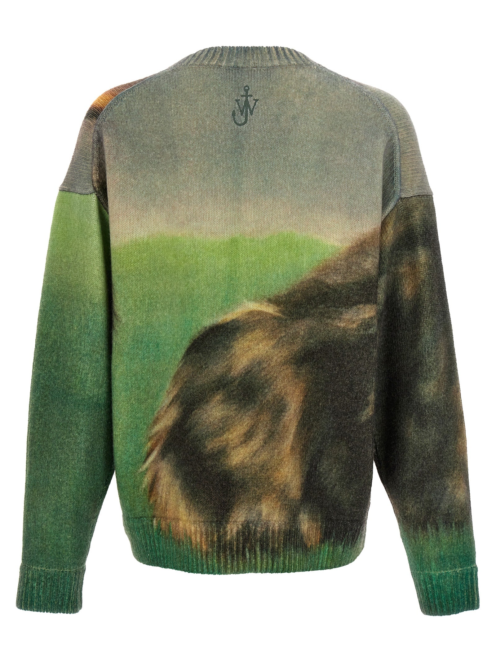 J.W.Anderson 'Cat' Print Sweater