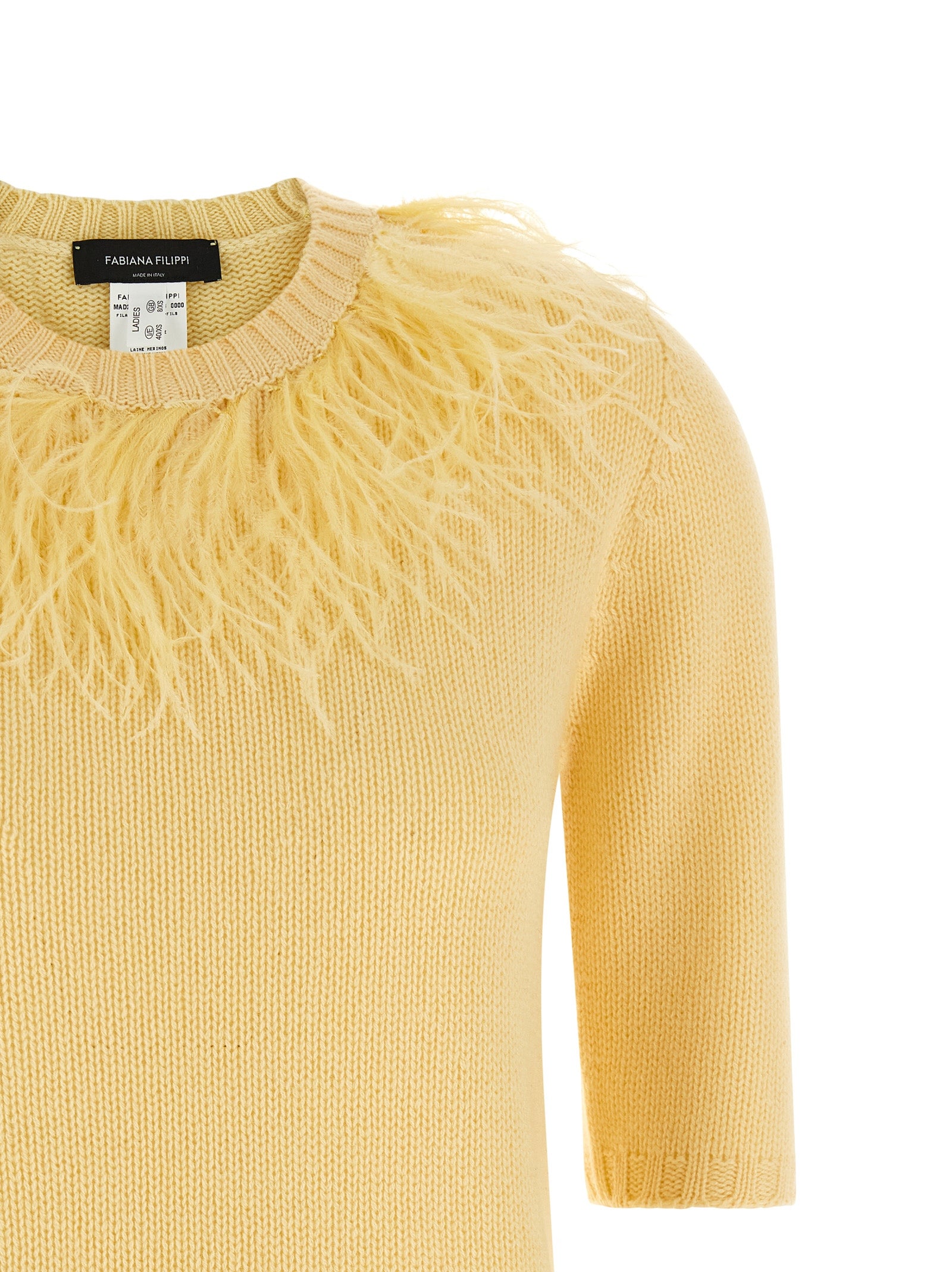 Fabiana Filippi Feather Sweater