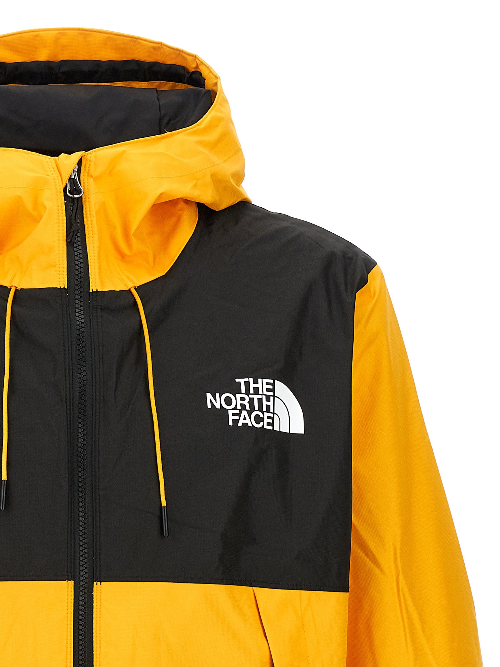 The North Face 'New Mountain Q' Jacket