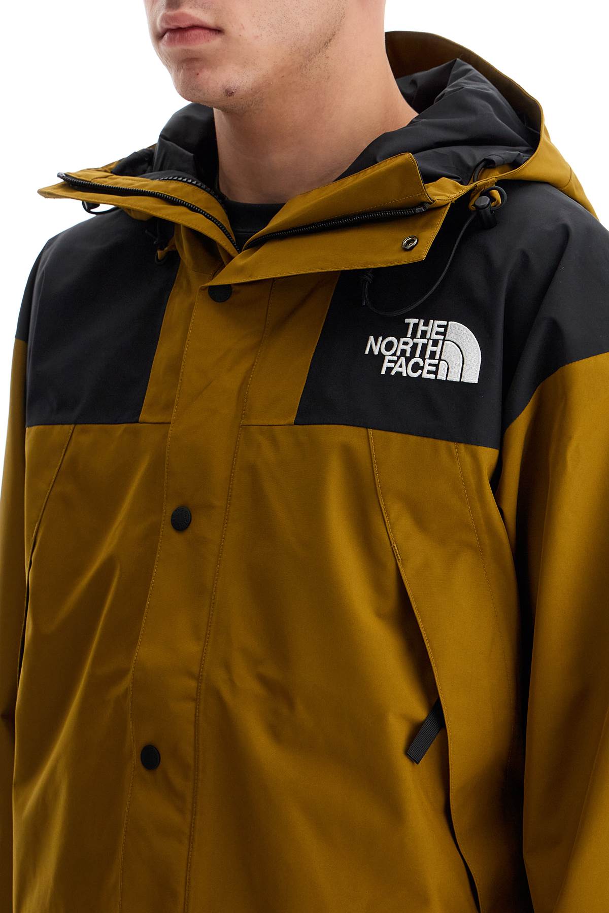 The North Face Mountain Gore-Tex Jacket