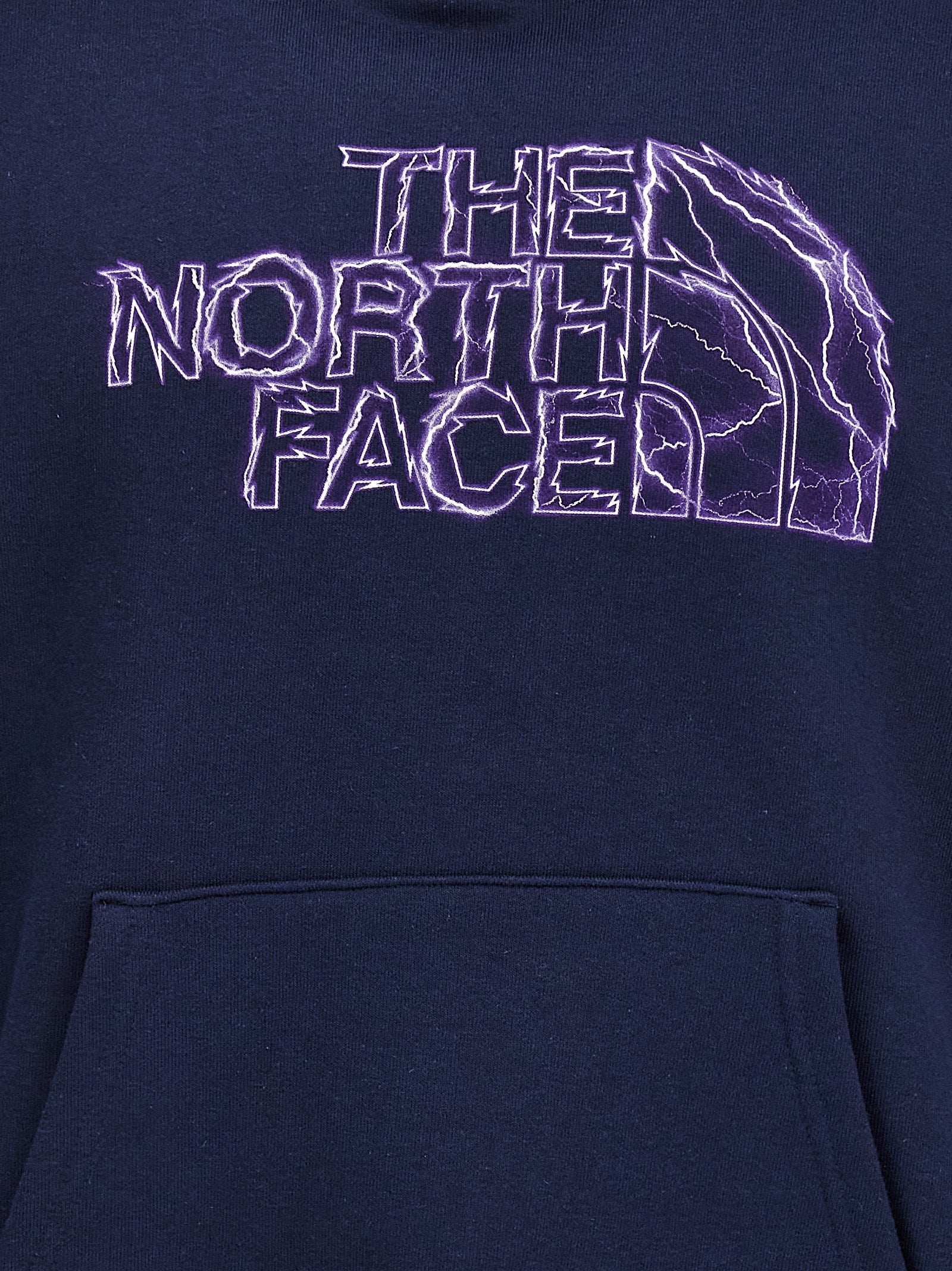 The North Face Logo Print Hoodie