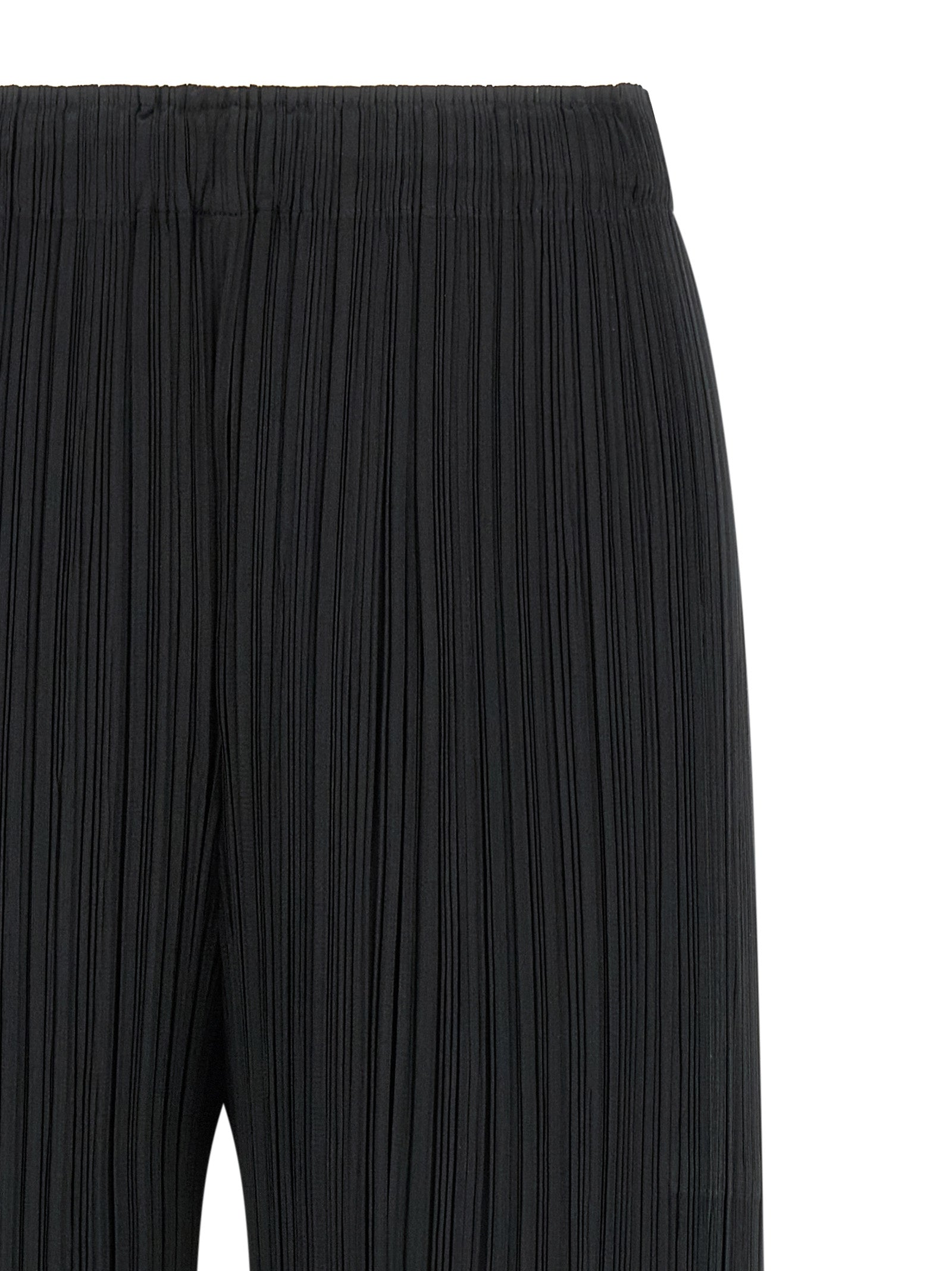 Pleats Please Issey Miyake 'Monthly Colors: February' Pants
