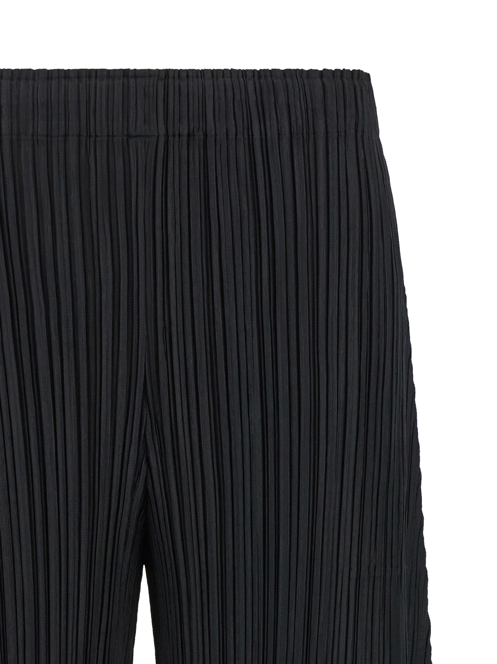 Pleats Please Issey Miyake 'Thicker Bottoms 1' Pants