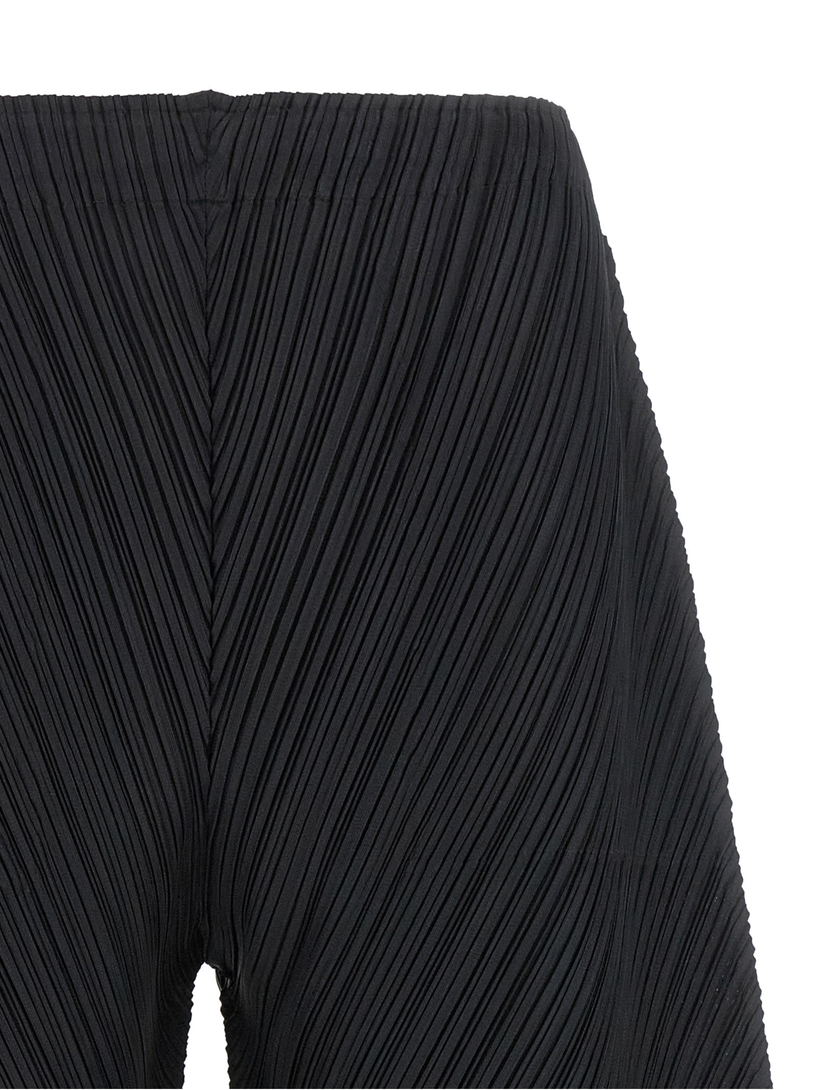 Pleats Please Issey Miyake 'Thicker Bottoms 1' Pants