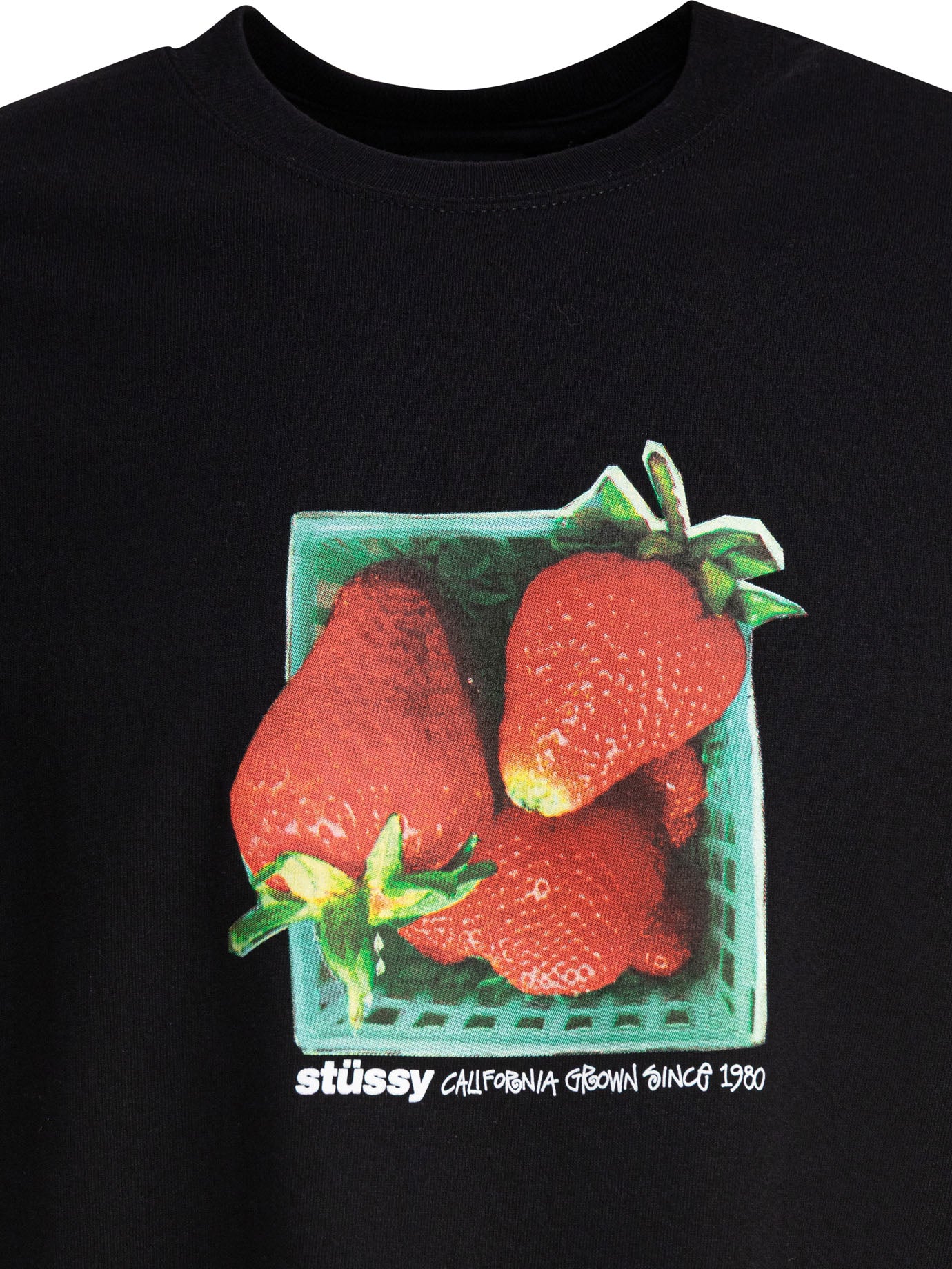 Stüssy T-Shirt With Print