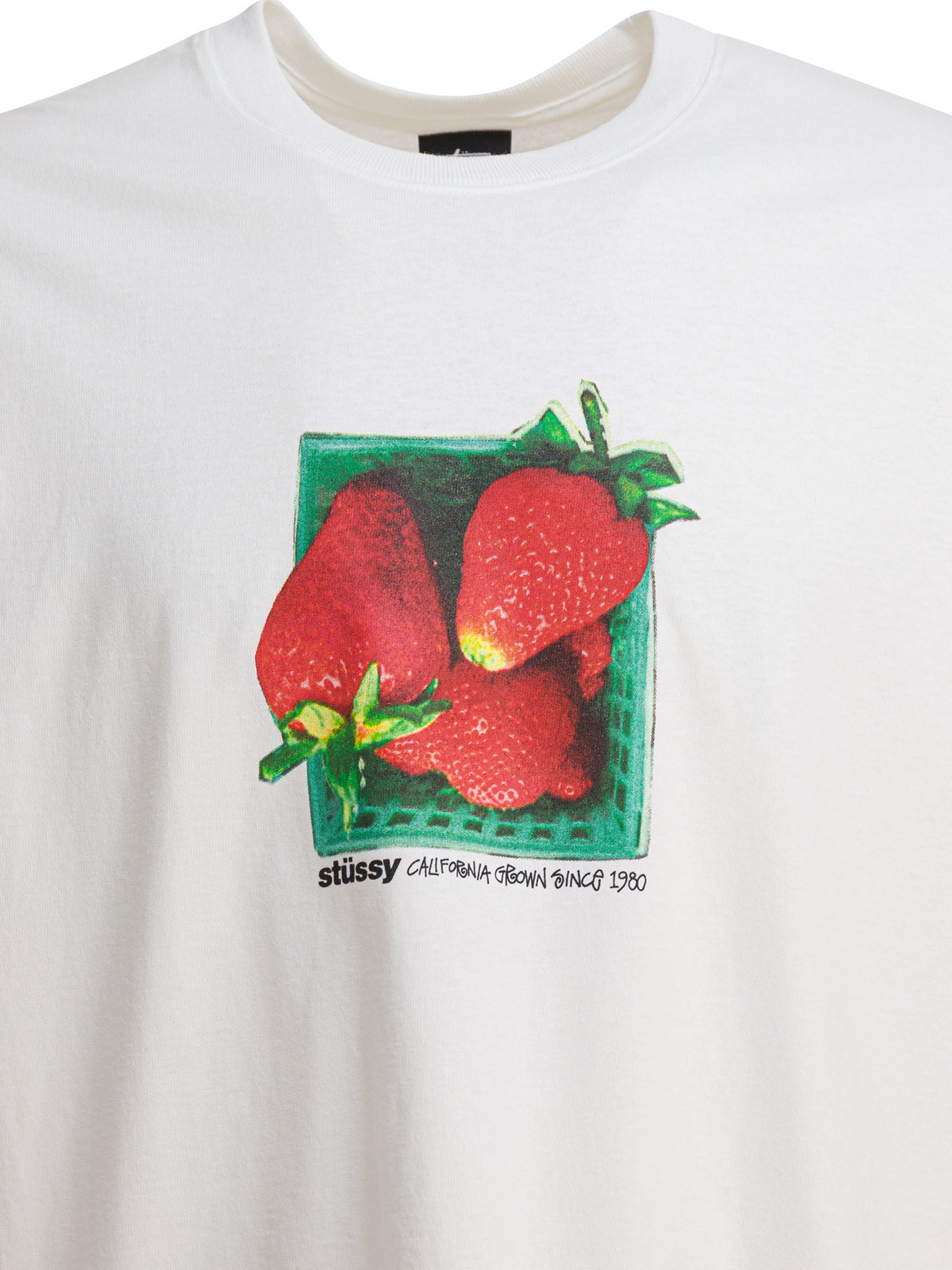 Stüssy T-Shirts
