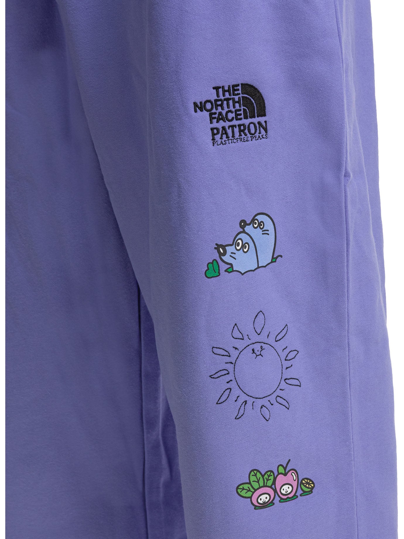 The North Face Trousers