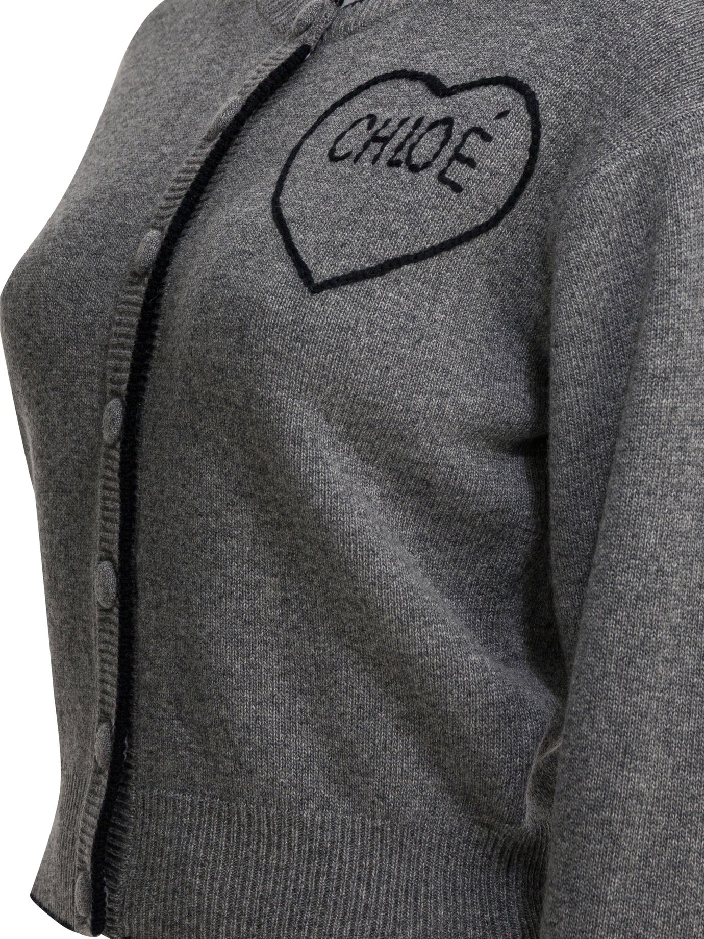 Chloé Wool And Cashmere Cardigan With Logo
