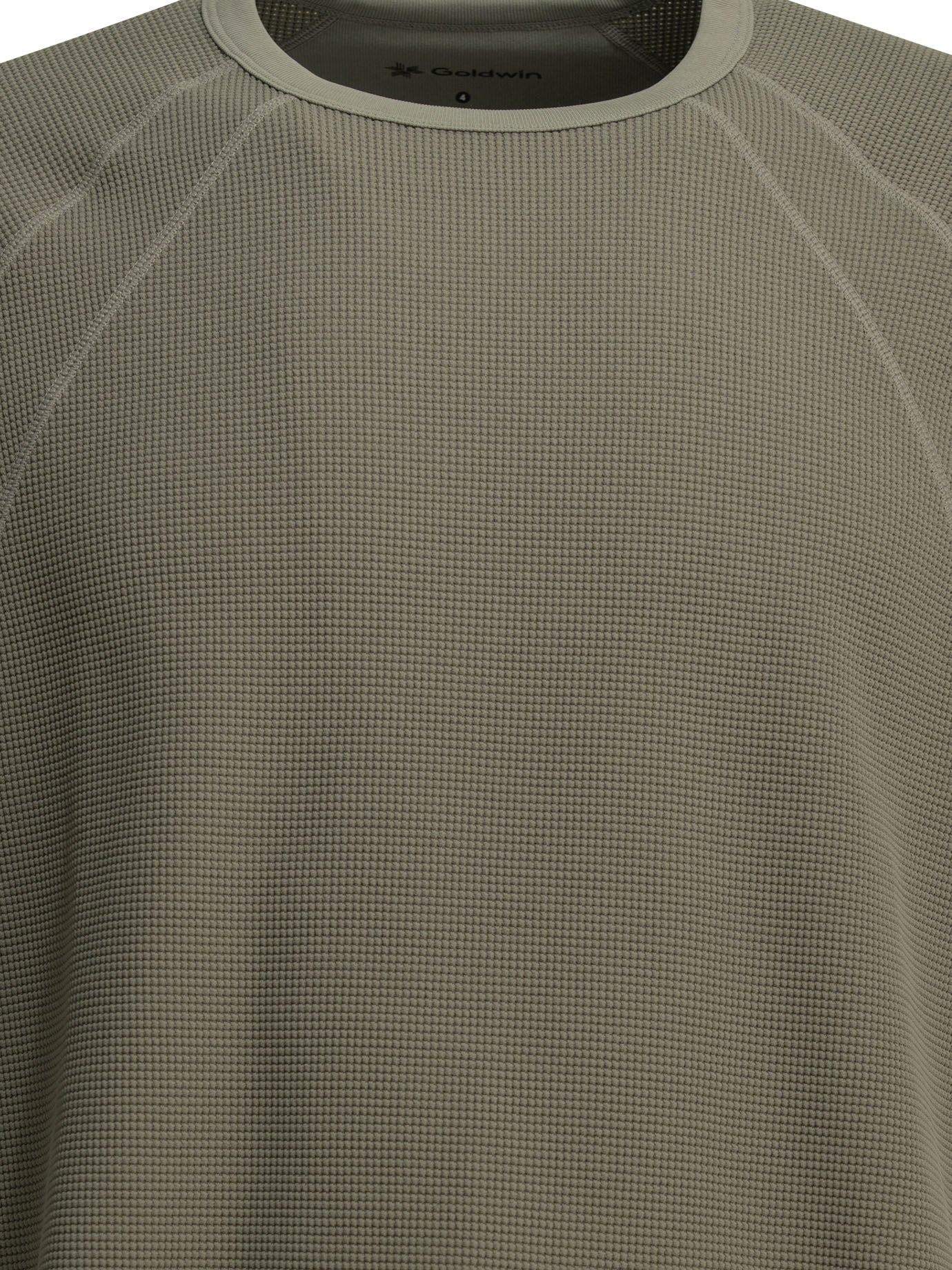 Goldwin Mesh Wf Actinoid Crew-Neck T-Shirt