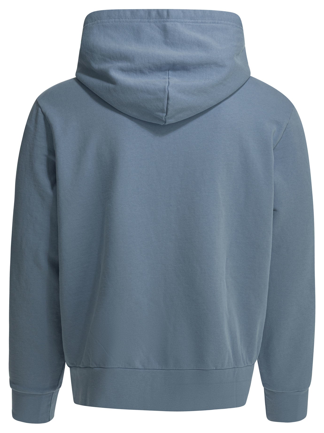 Polo Ralph Lauren Hoodie With Logo