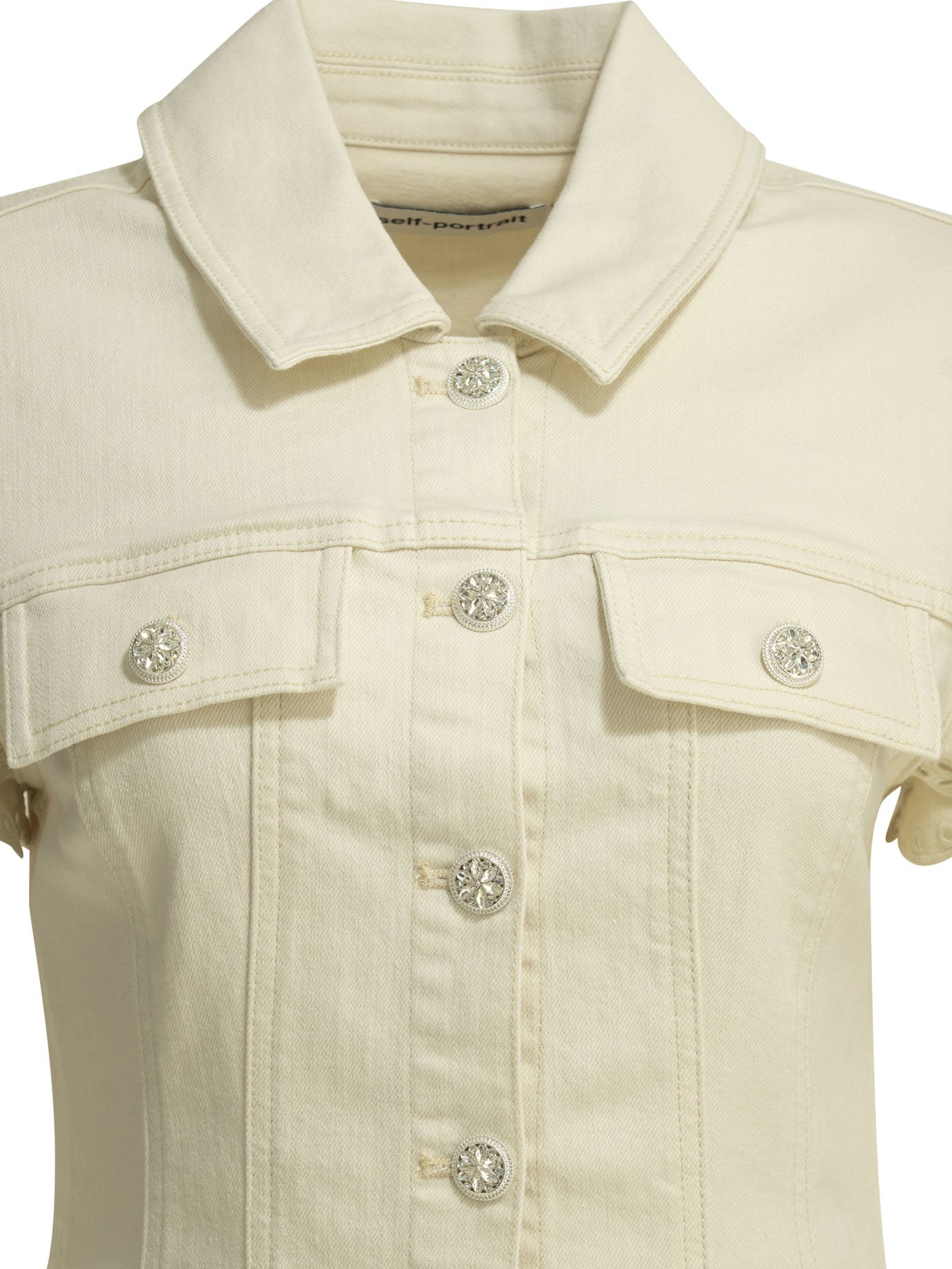 Self-portrait Embroidered Short Dress