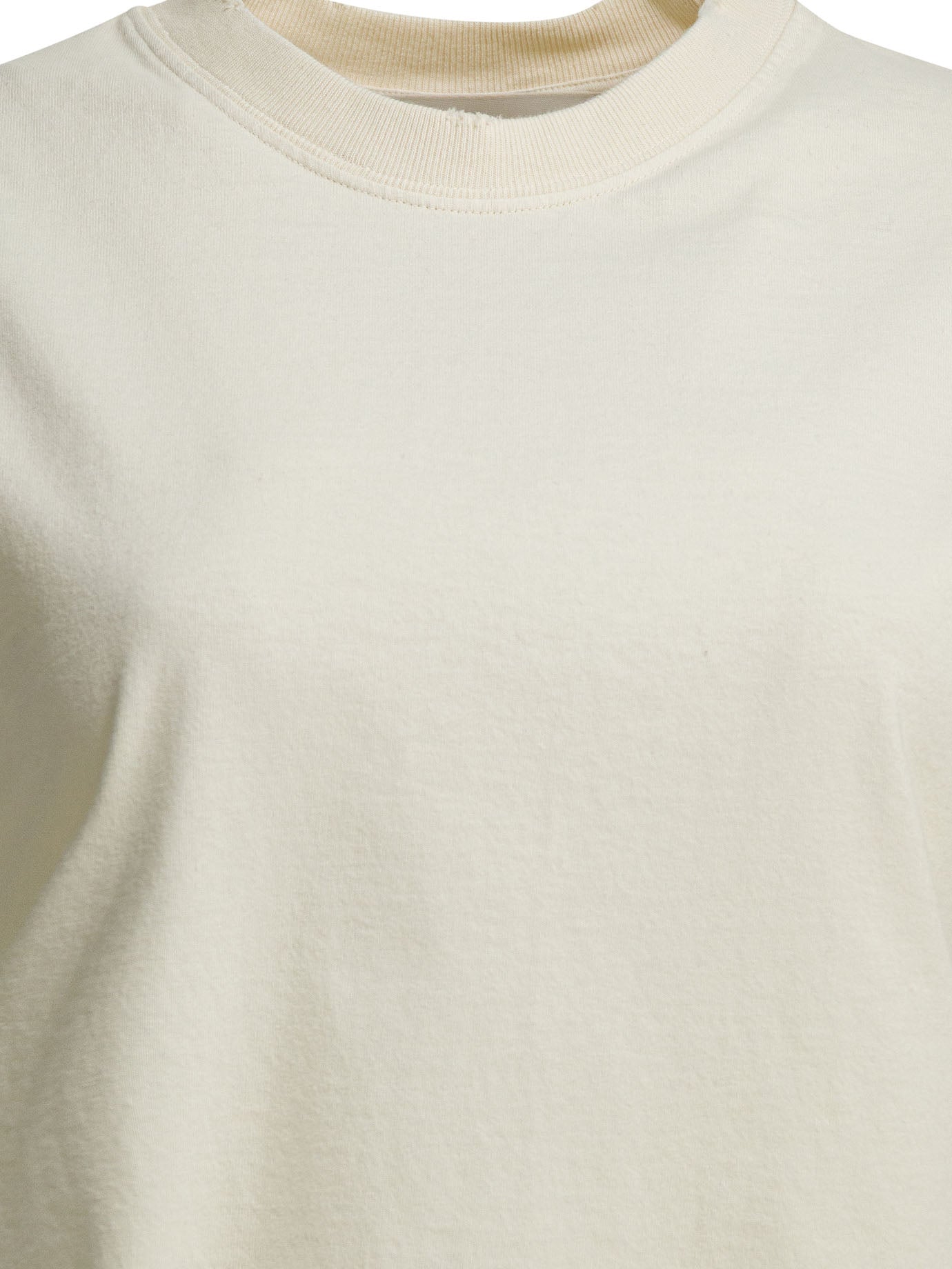Golden Goose Crew Neck T-Shirt With Reverse Logo