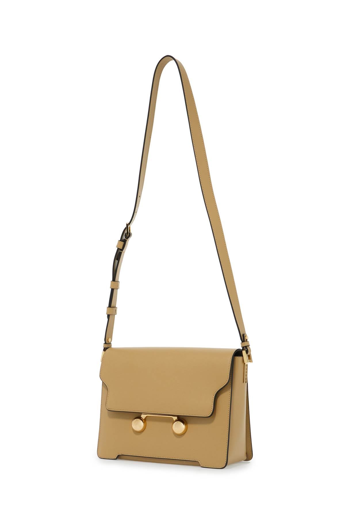 Marni Medium Trunkaroo Shoulder Bag