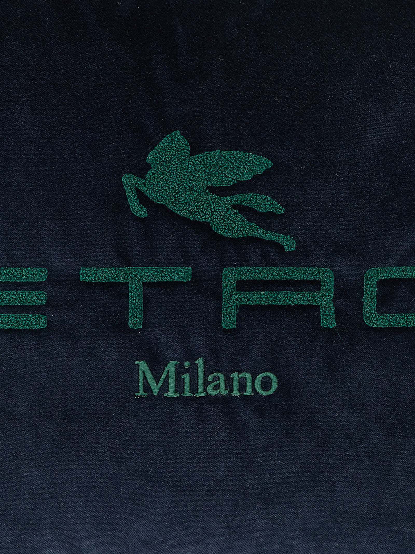 Etro Home Logo Cushion