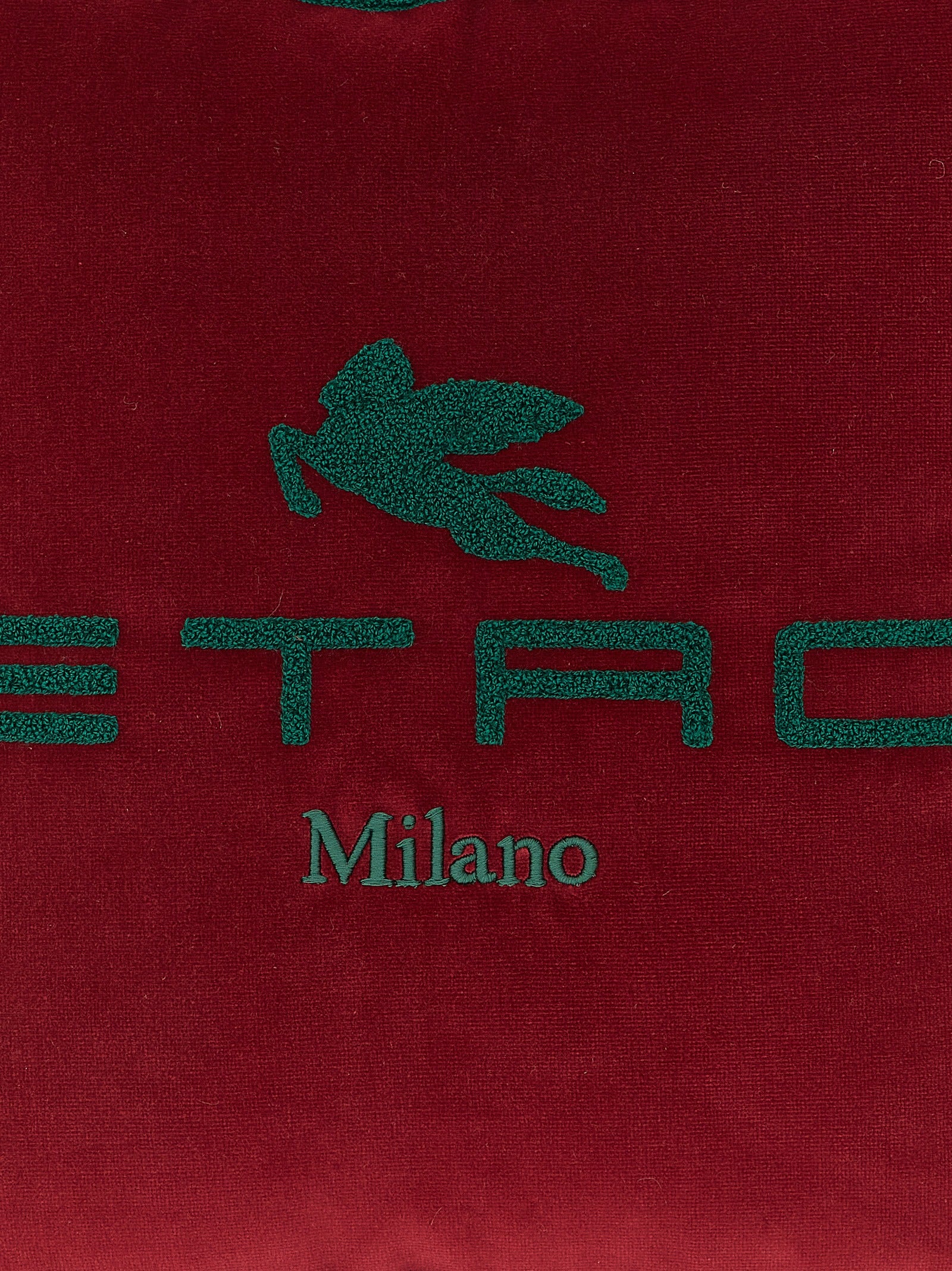 Etro Home Logo Cushion