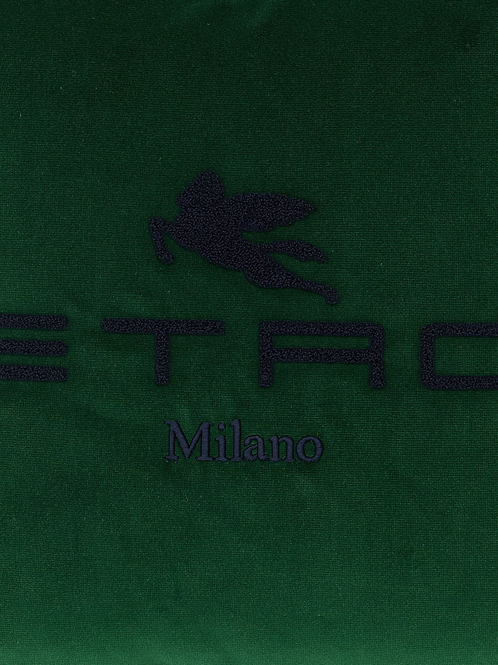 Etro Home Logo Cushion
