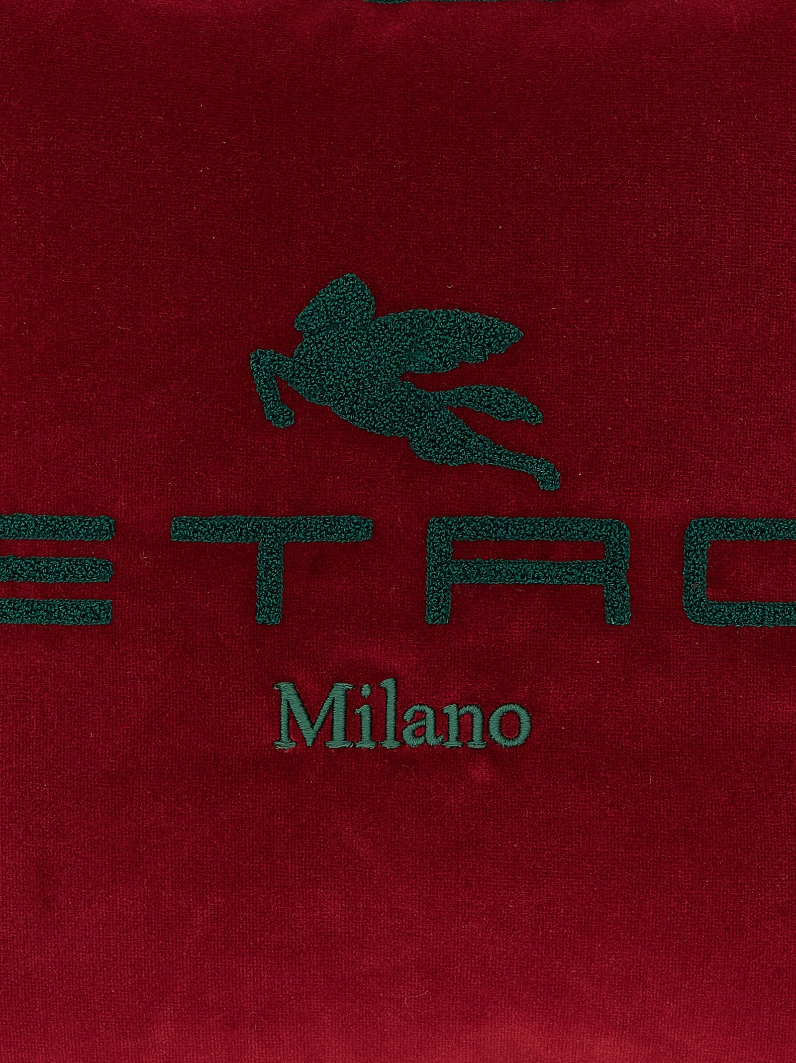 Etro Home Spunga Logo Cushion