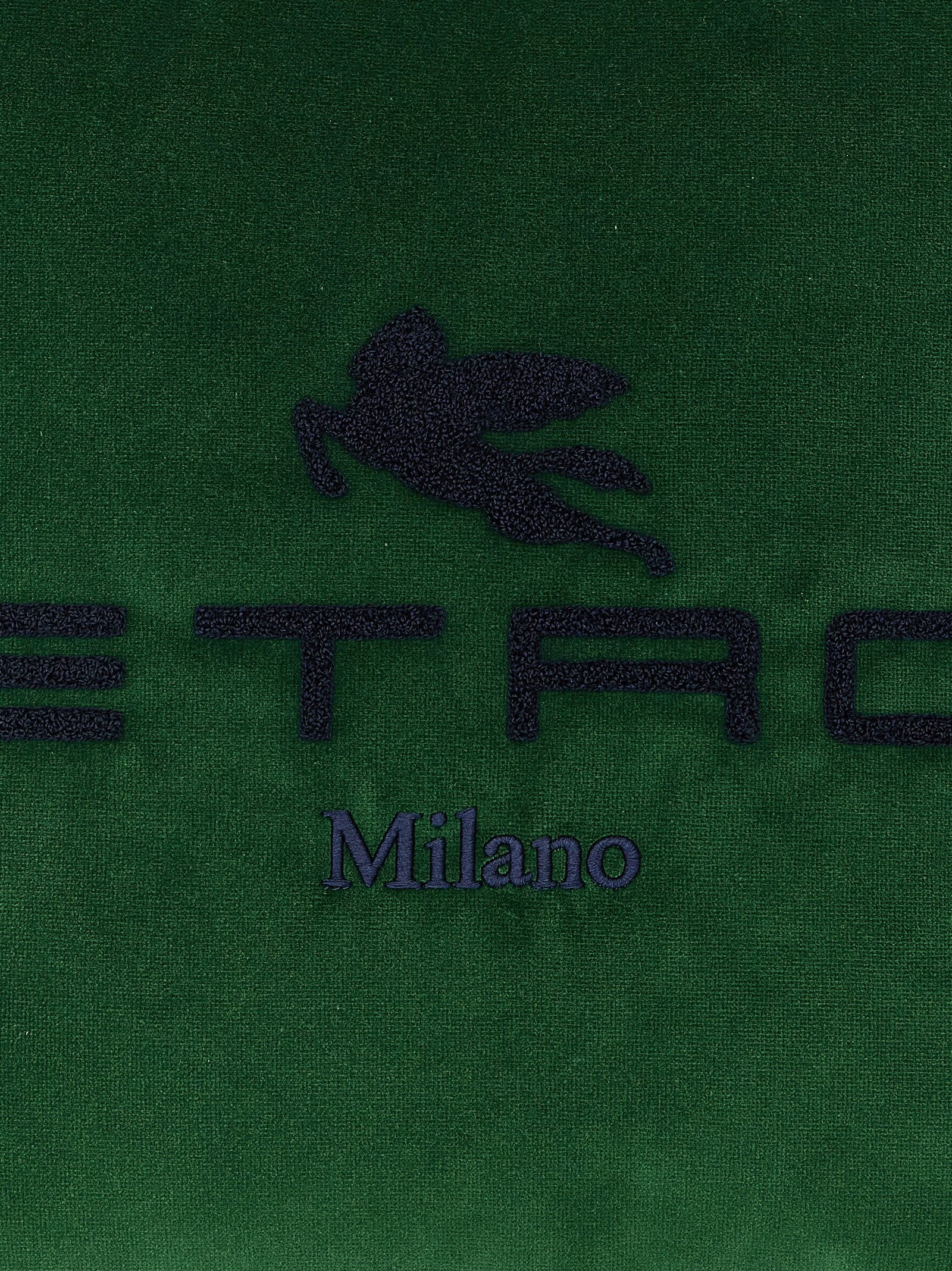 Etro Home Spunga Logo Cushion