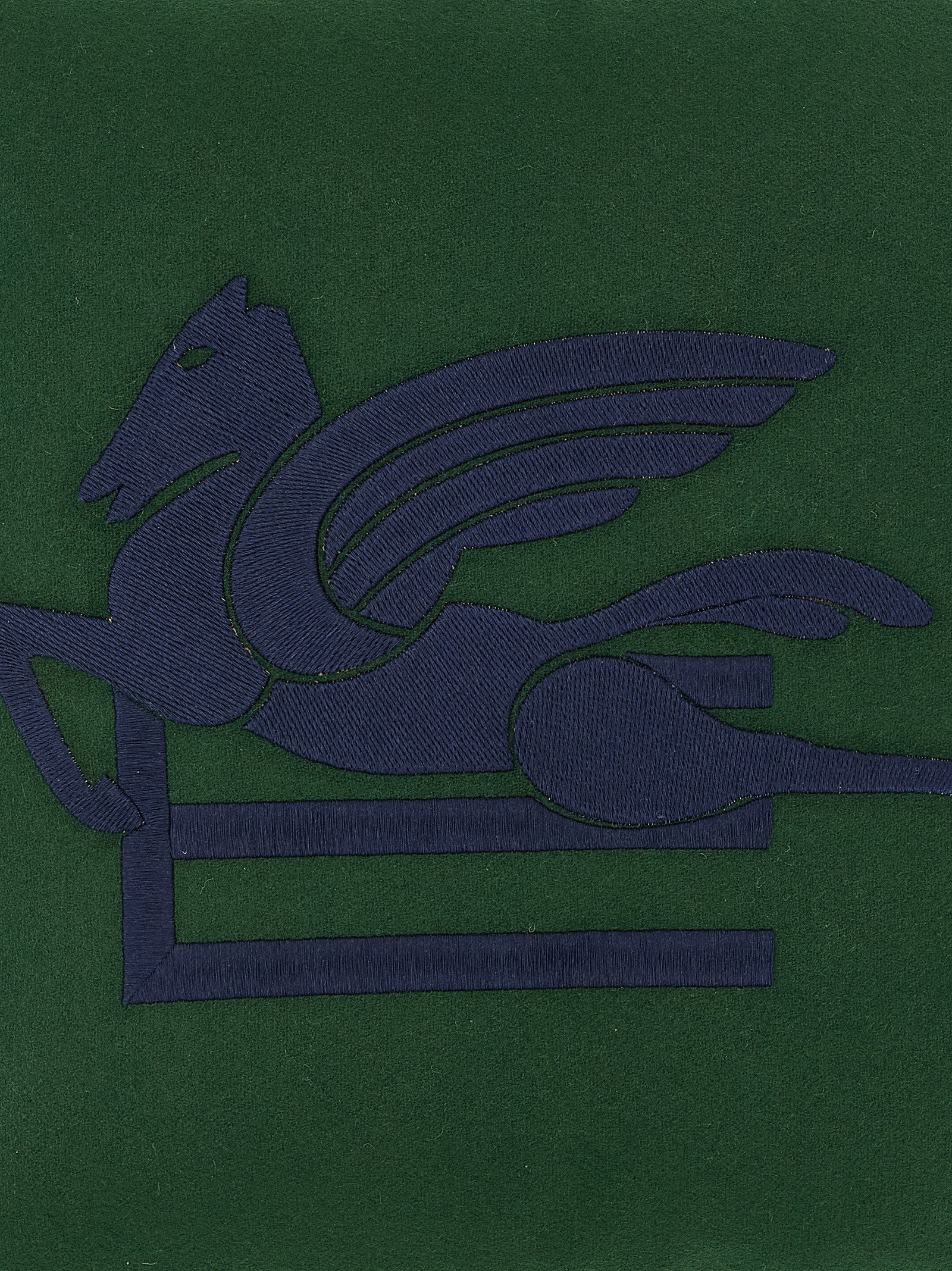 Etro Home 'Pegaso' Cushion