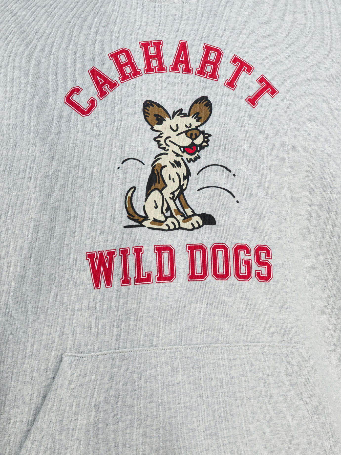 Carhartt WIP Wild Dog Hoodie