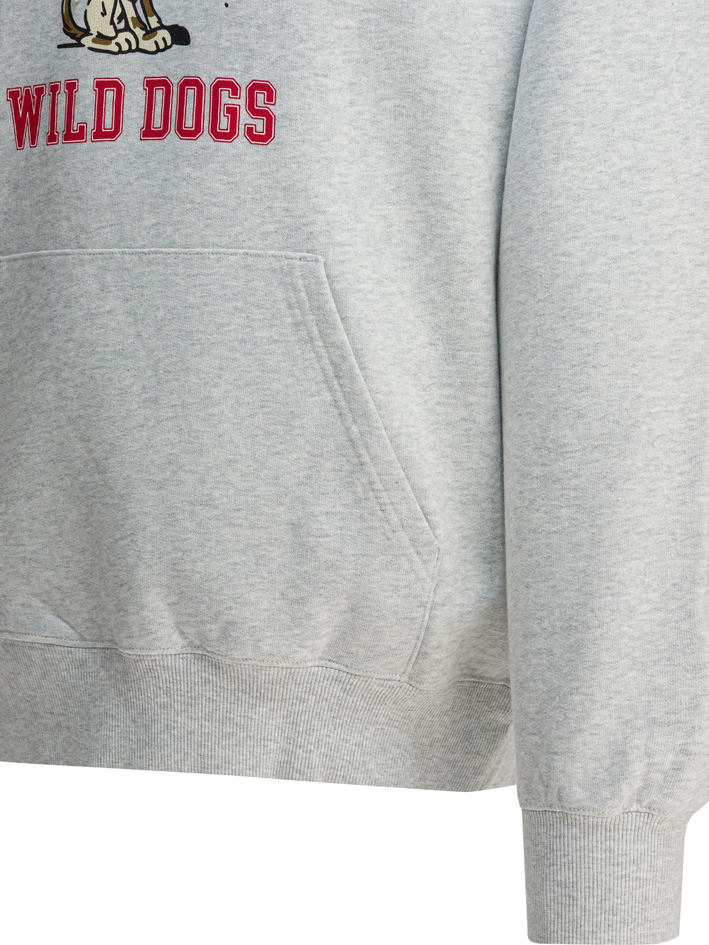 Carhartt WIP Wild Dog Hoodie