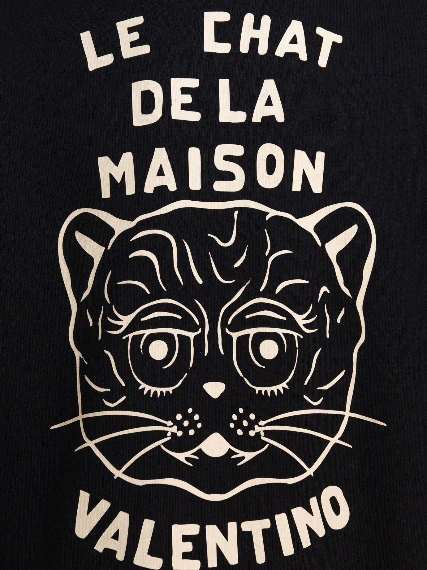 Valentino Le Chat De La Maison Hoodie