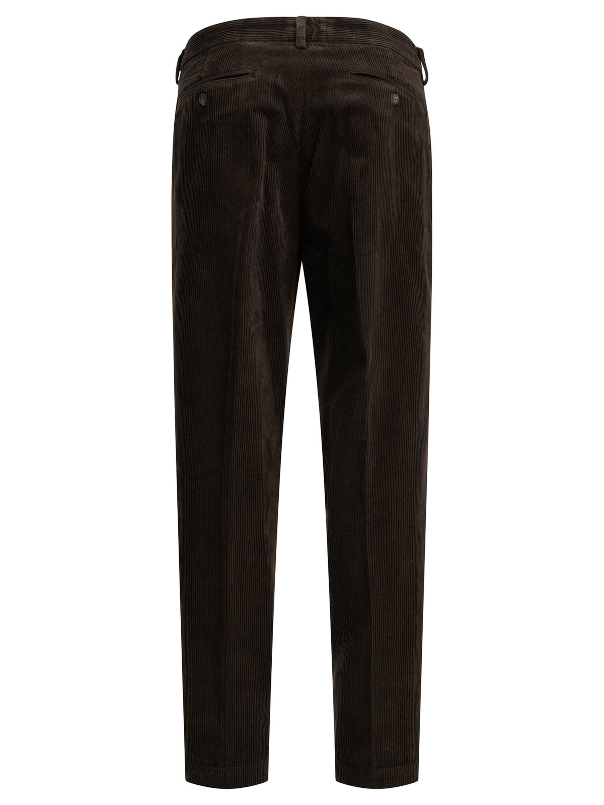Sebago Rendon Casual Pants
