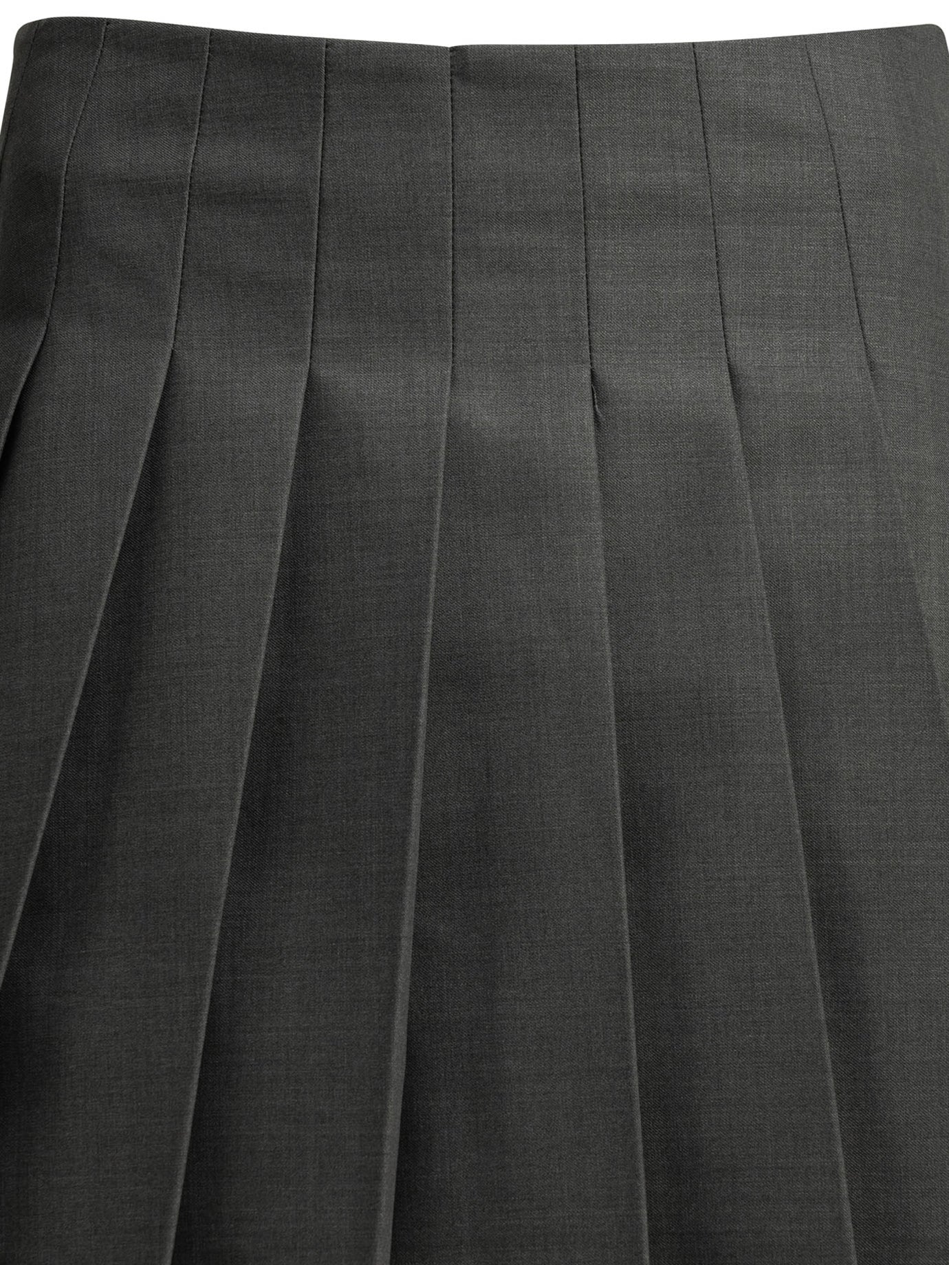Self-portrait Pleated Miniskirt