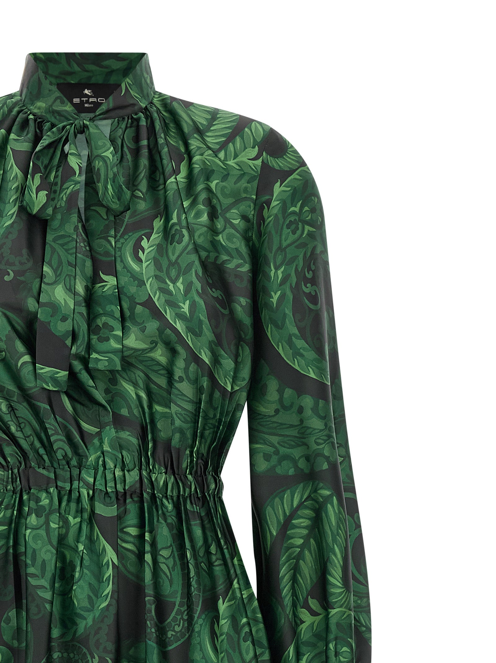 Etro Floral Printed Dress